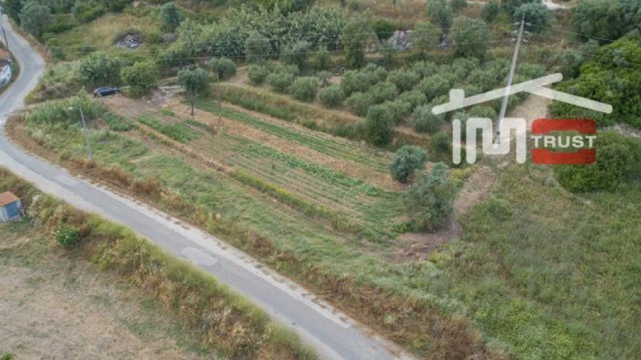 Terreno Agricola ou Rústico para Venda em Almoster