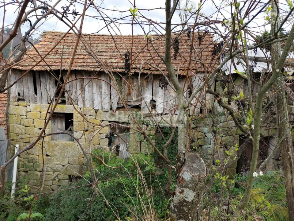 Quinta para Venda em Tendais Foto 8