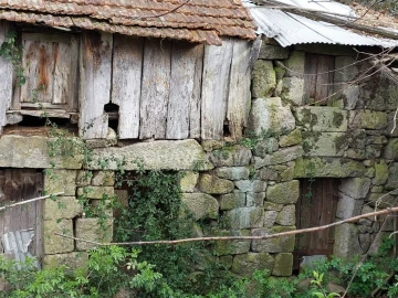 Quinta para Venda em Tendais
