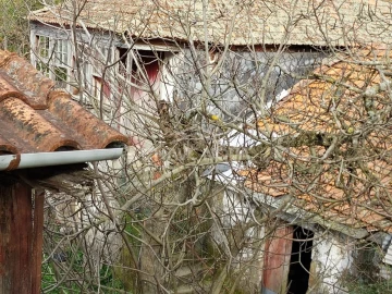 Quinta para Venda em Tendais