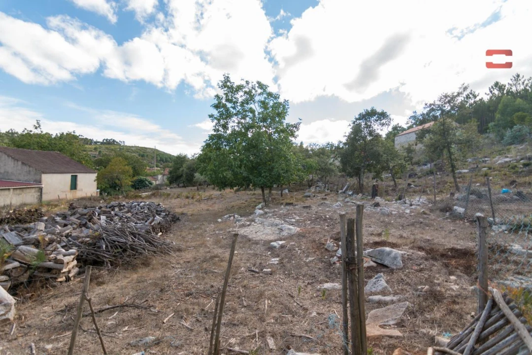 Terreno Agricola ou Rústico para Venda em Alqueidão da Serra Foto 8