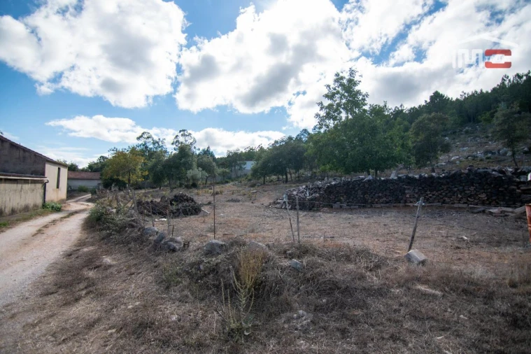 Terreno Agricola ou Rústico para Venda em Alqueidão da Serra Foto 6