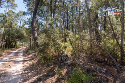 Terreno Agricola ou Rústico para Venda em São Mamede