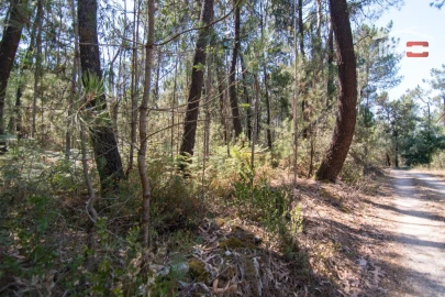 Terreno Agricola ou Rústico para Venda em São Mamede
