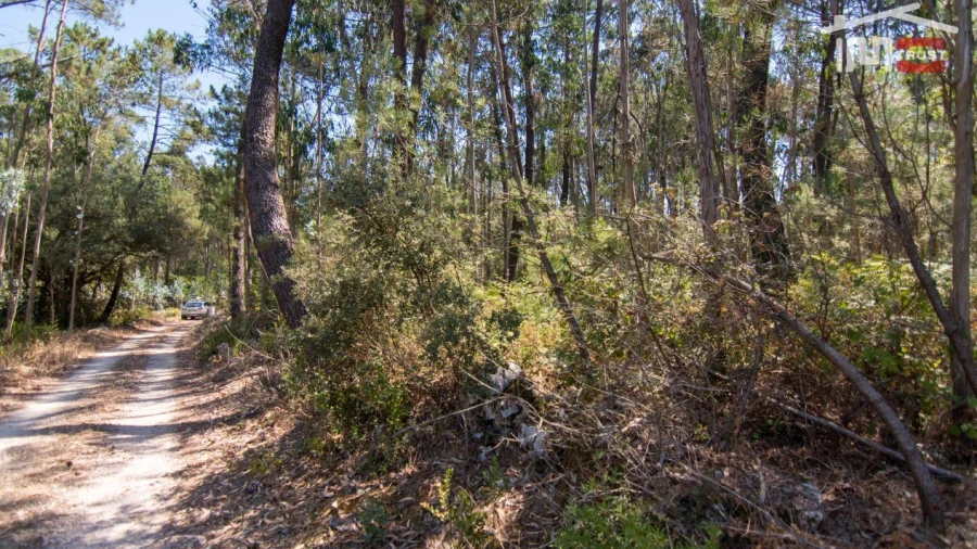 Terreno Agricola ou Rústico para Venda em São Mamede