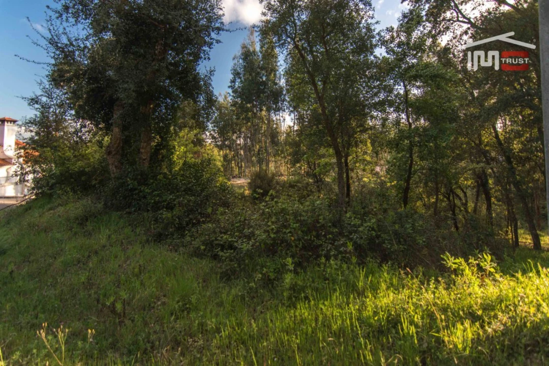Terreno para Venda em Nossa Senhora da Piedade Foto 2