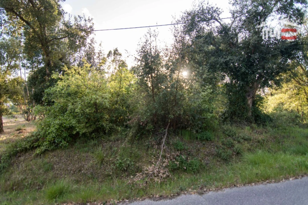 Terreno para Venda em Nossa Senhora da Piedade Foto 3