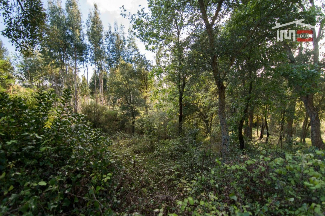 Terreno para Venda em Nossa Senhora da Piedade Foto 4
