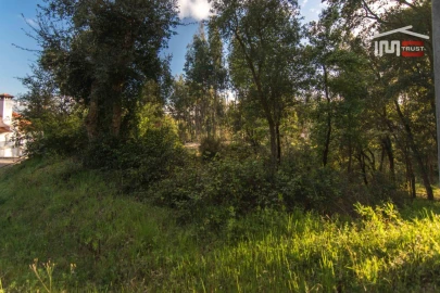 Terreno para Venda em Nossa Senhora da Piedade