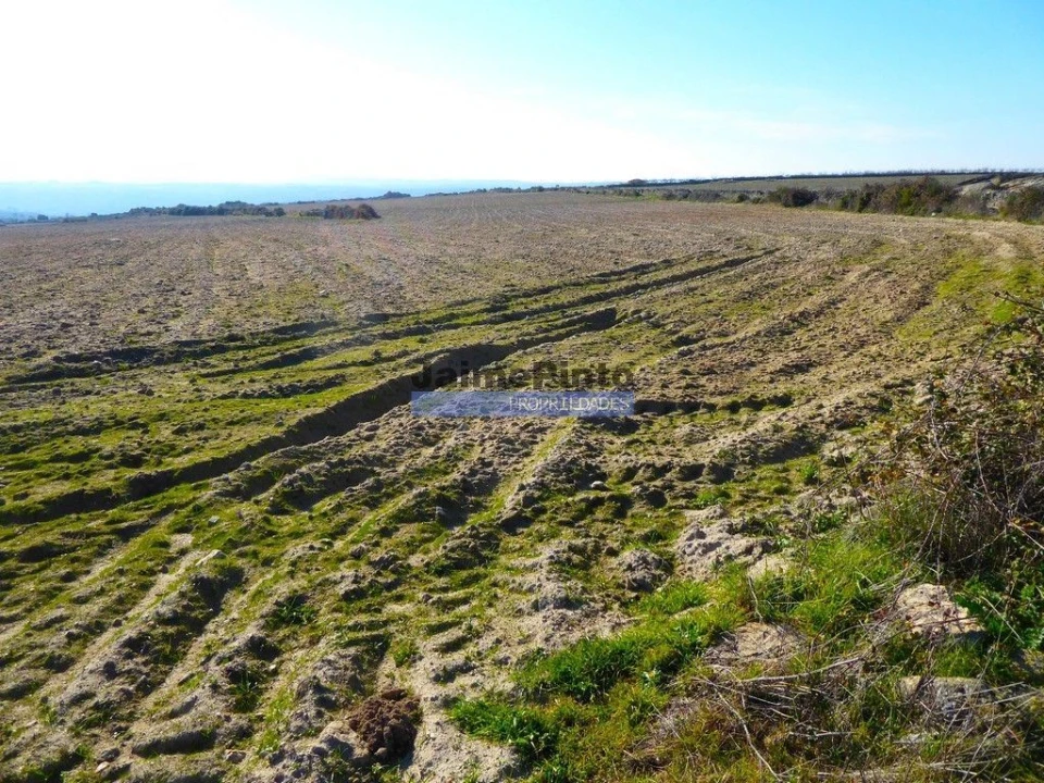 Terreno Agricola ou Rústico para Venda em Escalhão Foto 2