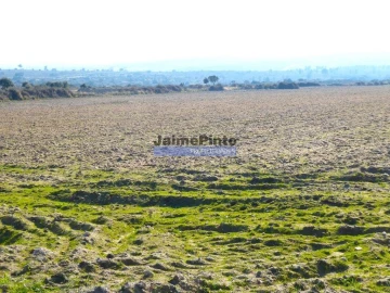 Terreno Agricola ou Rústico para Venda em Escalhão