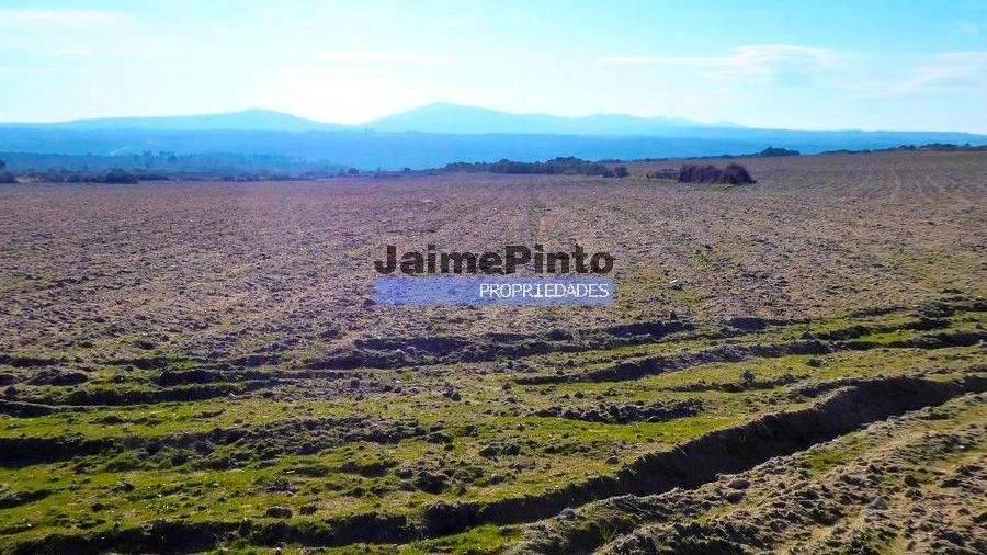 Terreno Agricola ou Rústico para Venda em Escalhão