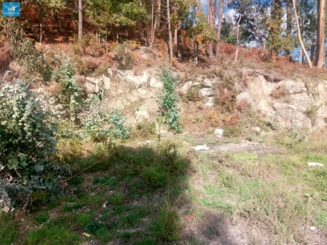 Terreno para Venda em Povoa de Lanhoso (N. Senhora do Amparo) Foto 3