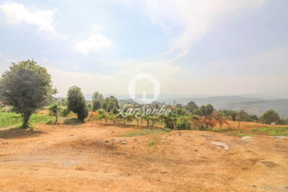 Terreno Misto para Venda em Vila Chã do Marão