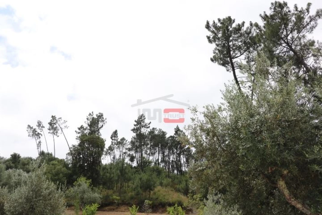 Terreno Misto para Venda em Seiça Foto 5