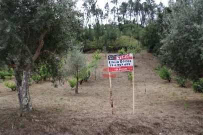 Terreno Misto para Venda em Seiça