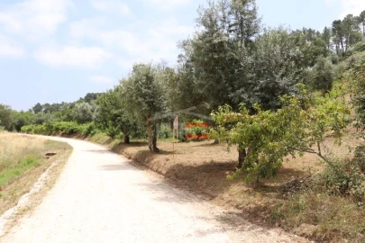 Terreno Misto para Venda em Seiça