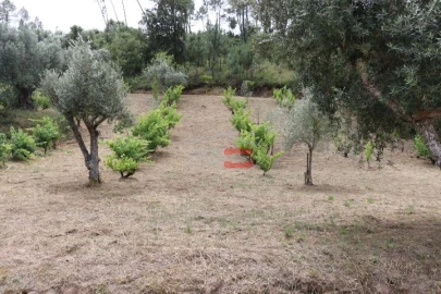 Terreno Misto para Venda em Seiça