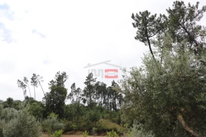 Terreno Misto para Venda em Seiça