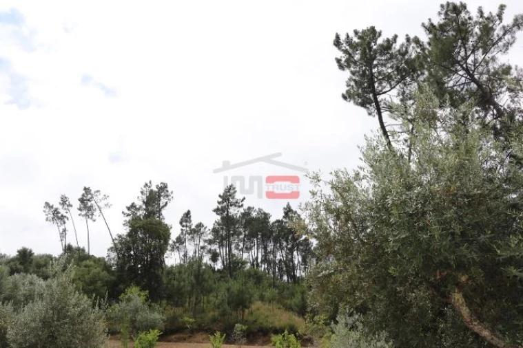 Terreno Misto para Venda em Seiça Foto 5