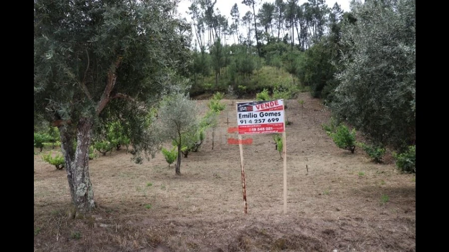 Terreno Misto para Venda em Seiça