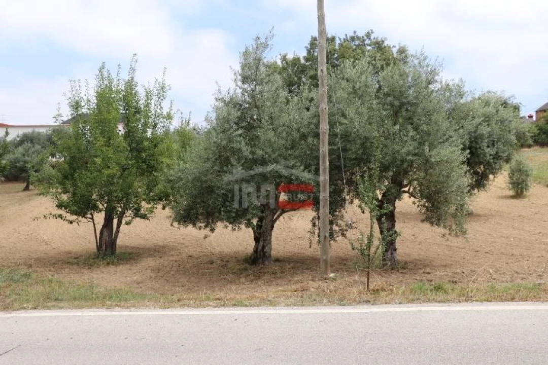 Terreno Misto para Venda em Seiça Foto 7