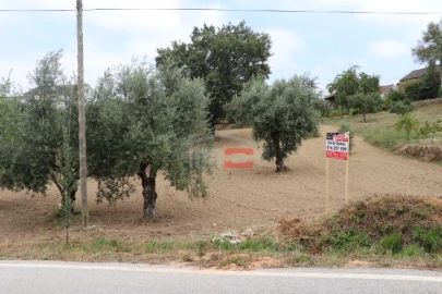 Terreno Misto para Venda em Seiça