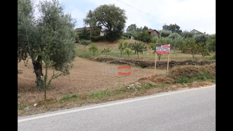 Terreno Misto para Venda em Seiça