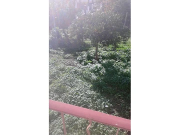 Moradia T0 para Venda em Avis