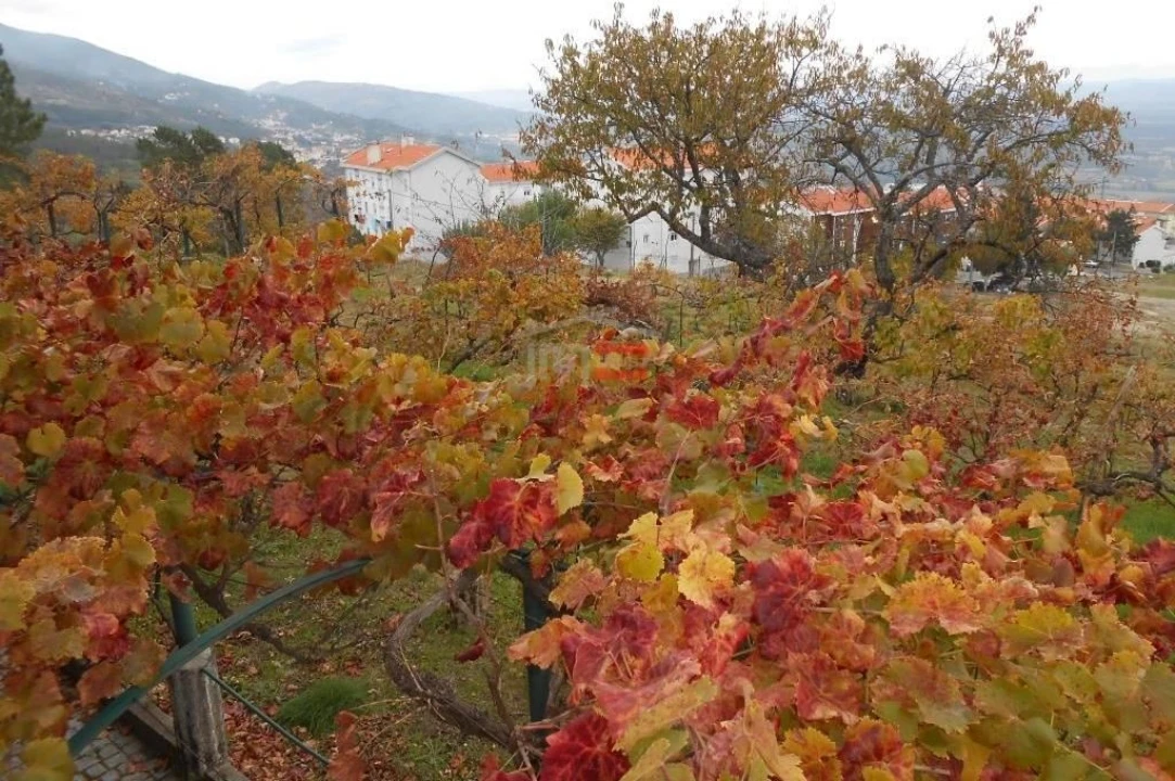 Moradia T4 para Venda em Covilhã e Canhoso Foto 6