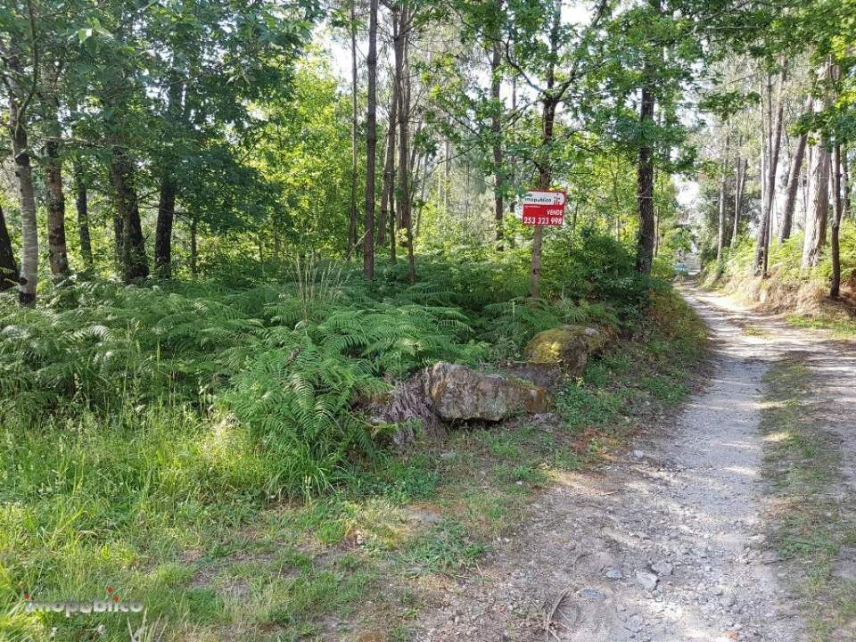 Terreno Agricola ou Rústico para Venda em Gême Foto 1