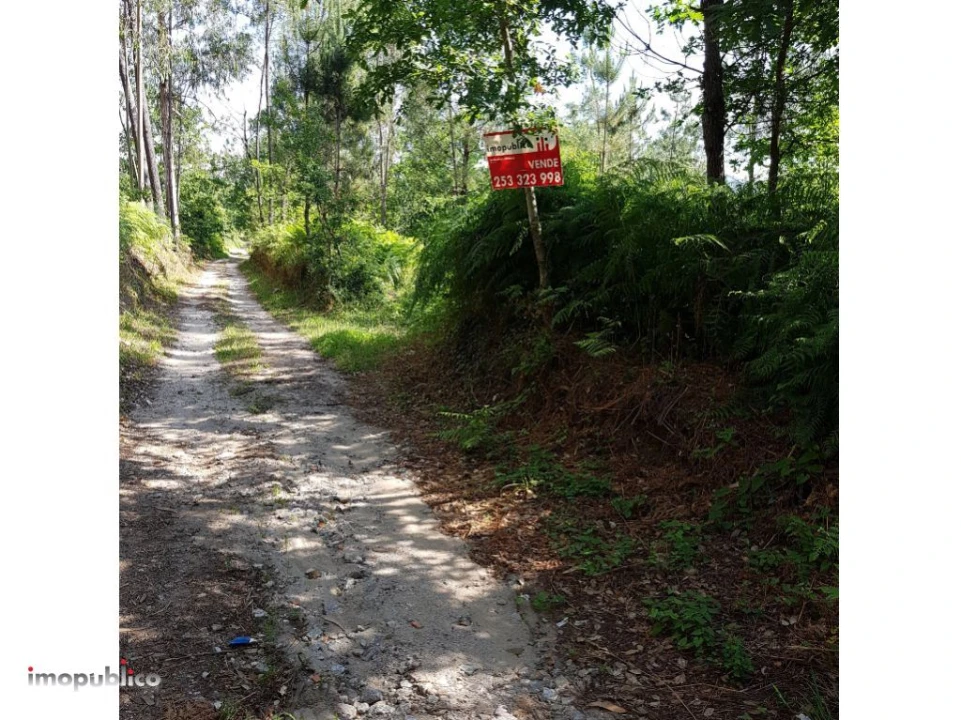 Terreno Agricola ou Rústico para Venda em Gême Foto 2