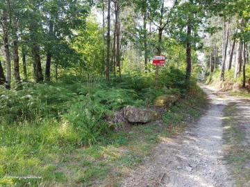Terreno Agricola ou Rústico para Venda em Gême