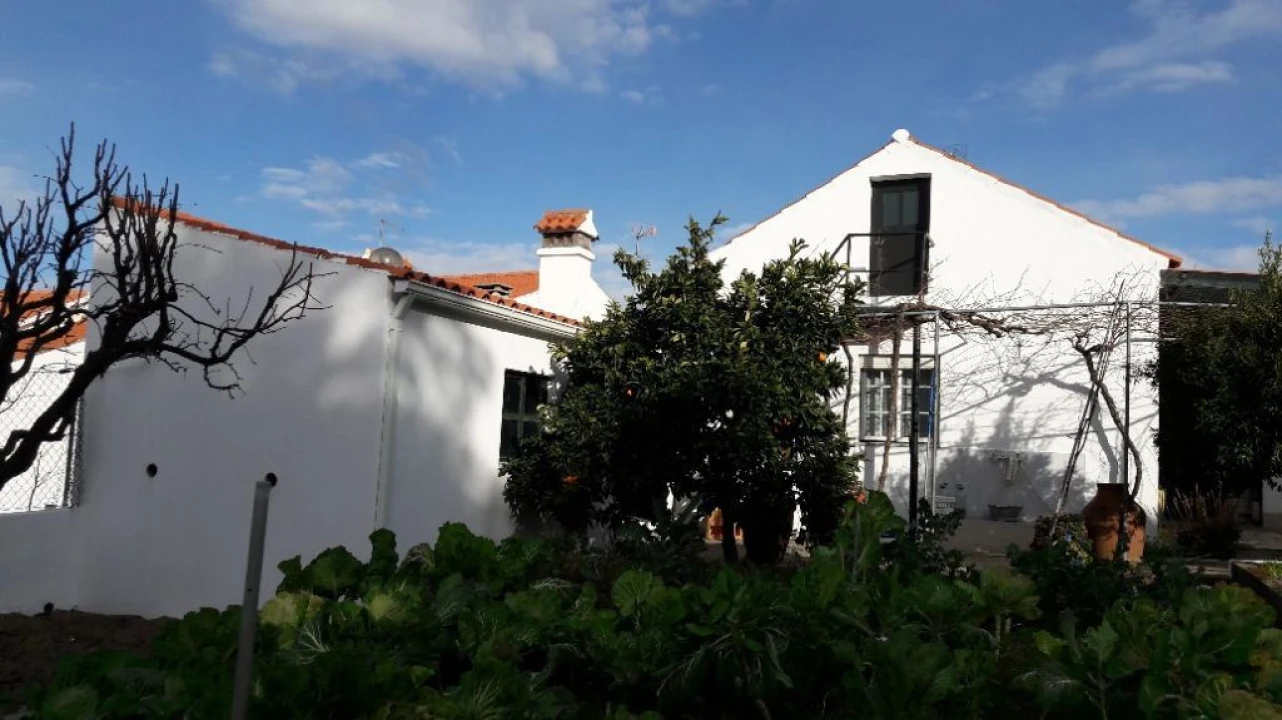 Moradia T3 para Venda em Santo Antonio das Areias Foto 5