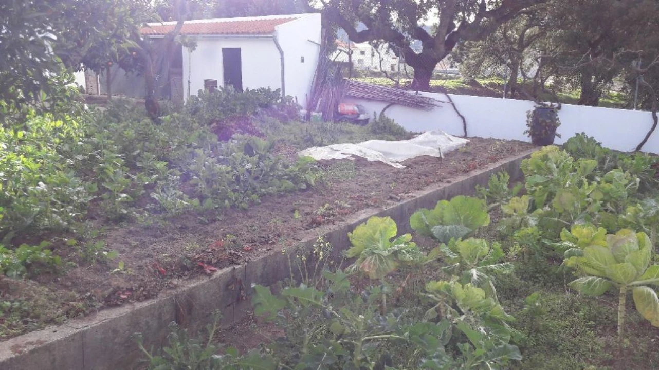 Moradia T3 para Venda em Santo Antonio das Areias Foto 25