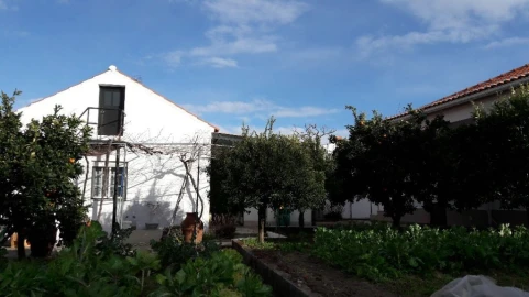 Moradia T3 para Venda em Santo Antonio das Areias