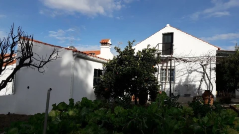 Moradia T3 para Venda em Santo Antonio das Areias