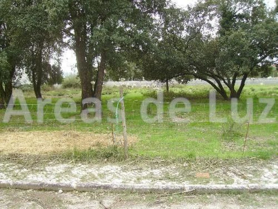 Terreno para Venda em Parceiros e Azoia Foto 2
