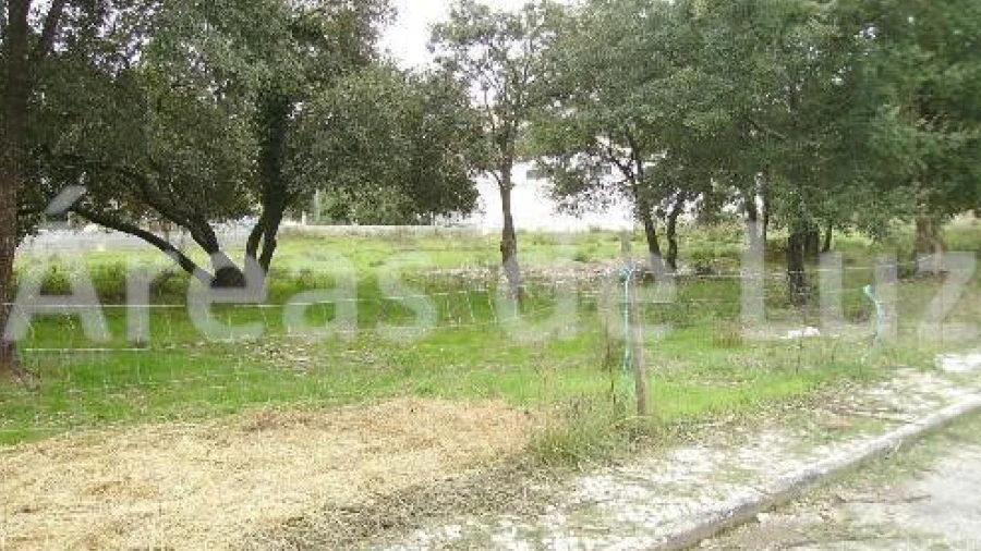 Terreno para Venda em Parceiros e Azoia