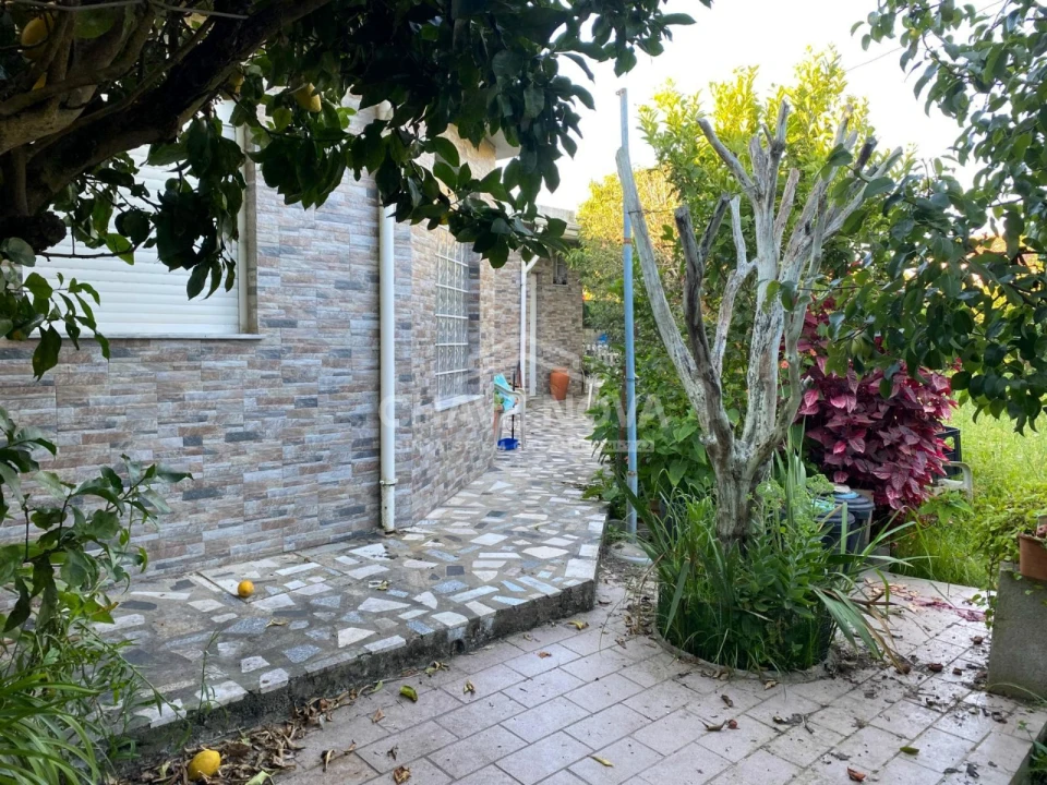 Terreno Agricola ou Rústico para Venda em Madalena Foto 1