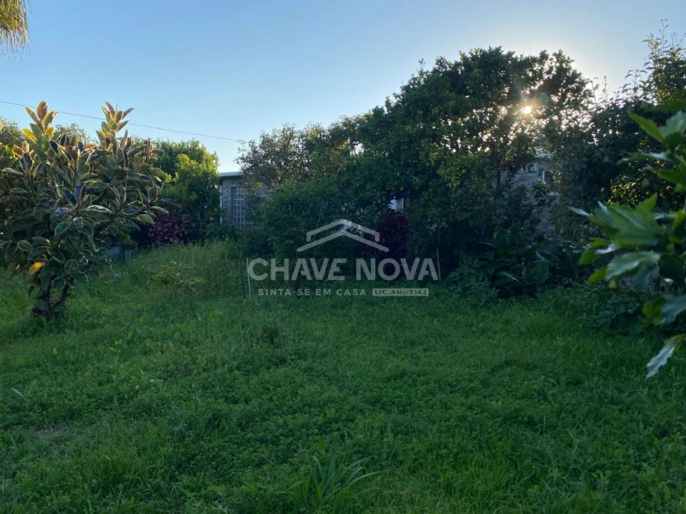 Terreno Agricola ou Rústico para Venda em Madalena Foto 6