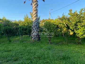 Terreno Agricola ou Rústico para Venda em Madalena