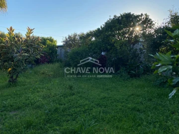 Terreno Agricola ou Rústico para Venda em Madalena