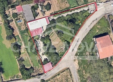 Terreno Agricola ou Rústico para Venda em Madalena