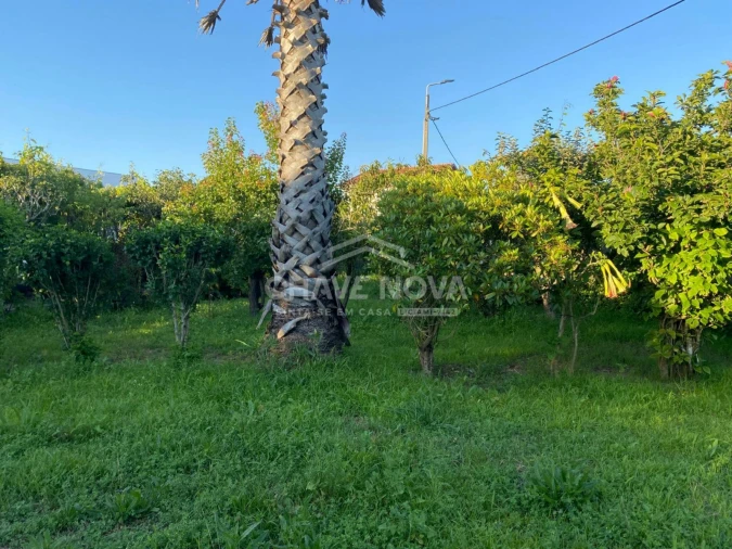 Terreno Agricola ou Rústico para Venda em Madalena Foto 4