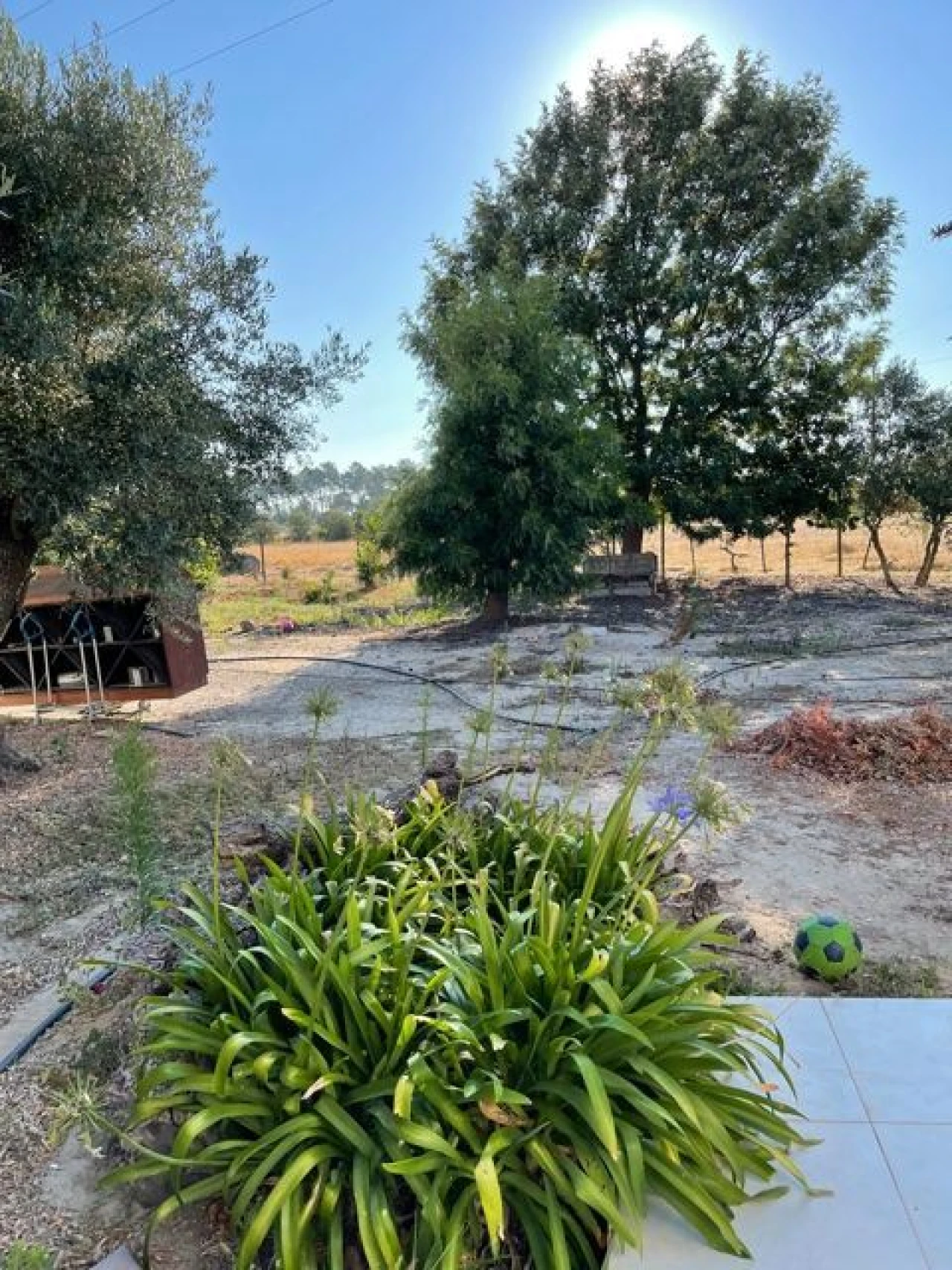 Moradia T2 para Venda em Poceirão e Marateca Foto 5