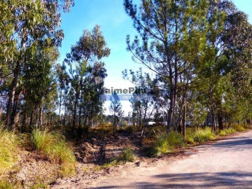 Terreno Agricola ou Rústico para Venda em Cacia