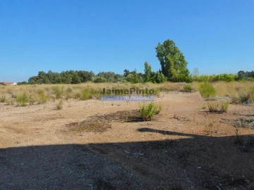 Armazém para Venda em Cartaxo e Vale da Pinta