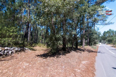 Terreno Agricola ou Rústico para Venda em São Mamede