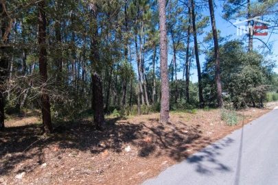 Terreno Agricola ou Rústico para Venda em São Mamede